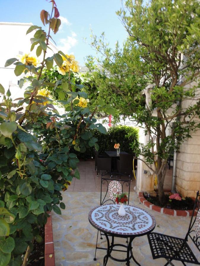 Orange Tree Cavtat